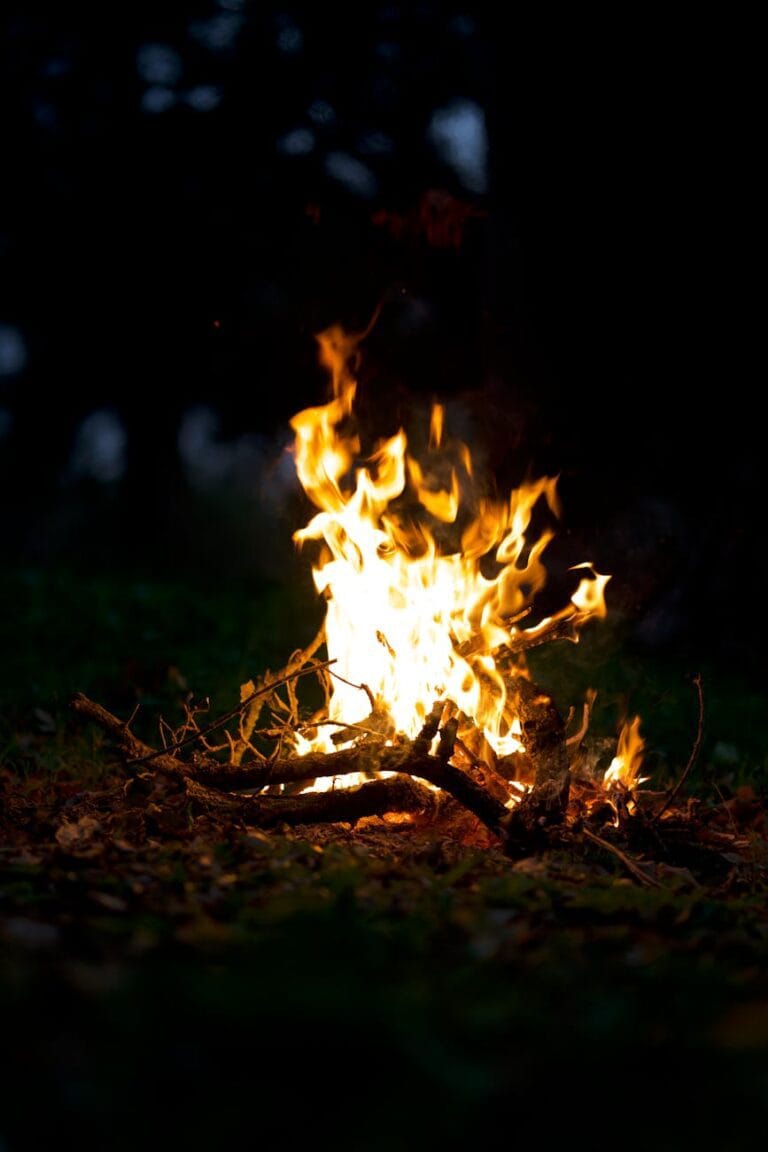 vibrant campfire in the evening wilderness